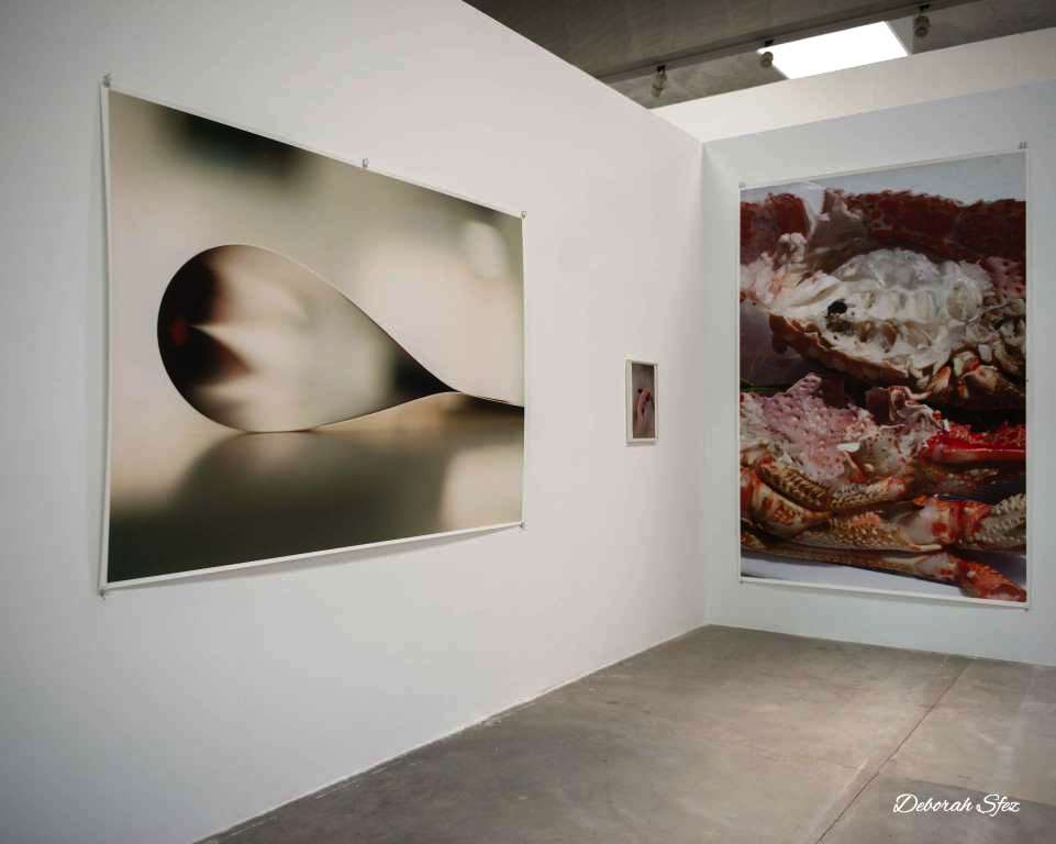 Images de l'exposition Wolfgang Tillmans Fragile
